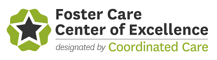 Foster Care Center of Excellence